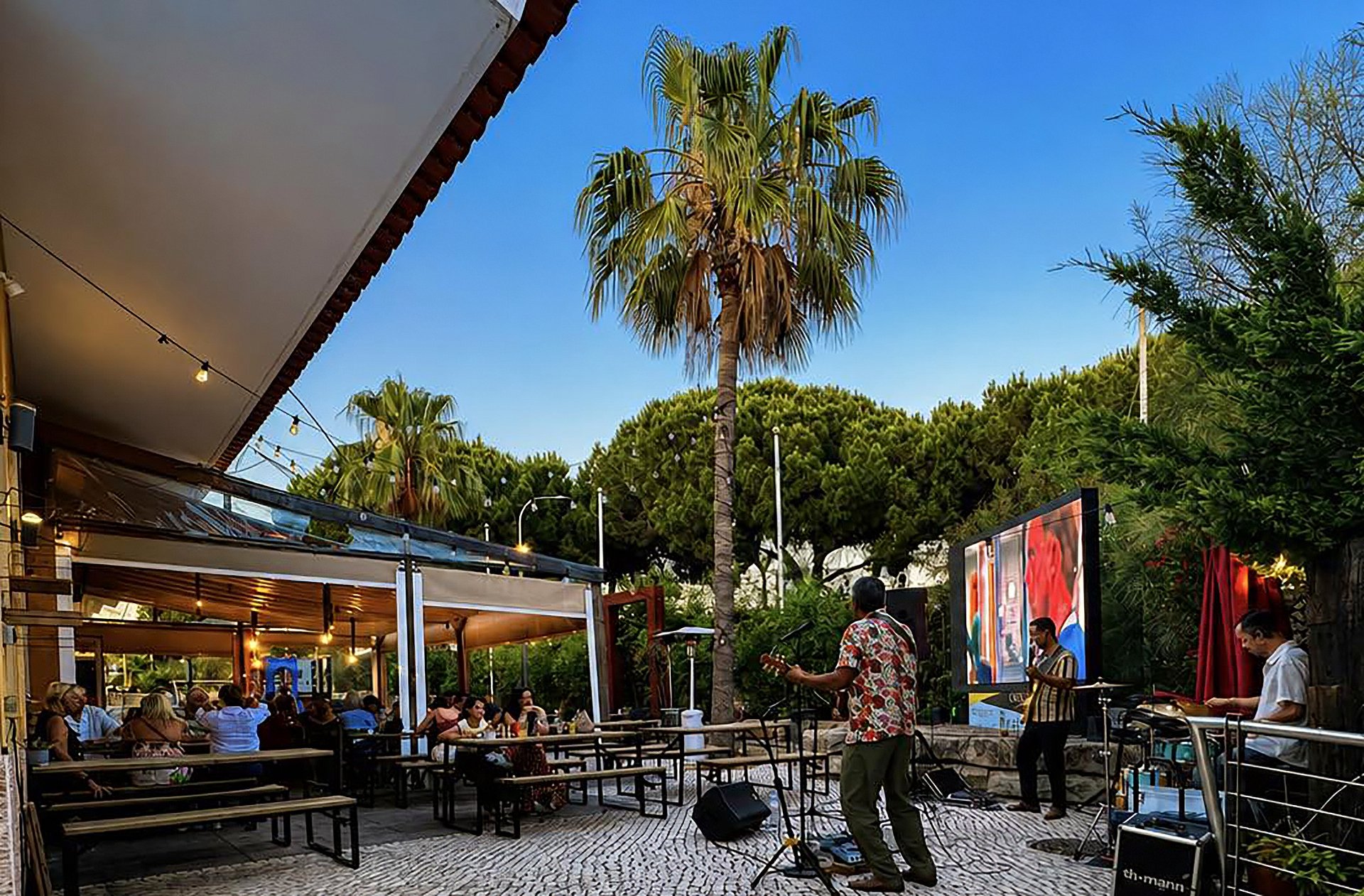 Live music under the palms on the Oscars terrace at golden hour